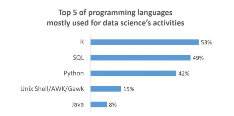 Top Programming Languages for Statistical Analysis in 2004